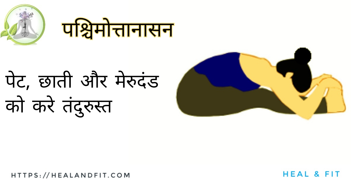 इस आसन को करने से पीठ में खिंचाव उत्पन्न होता है, इसीलिए इसे पश्चिमोत्तनासन कहते हैं।